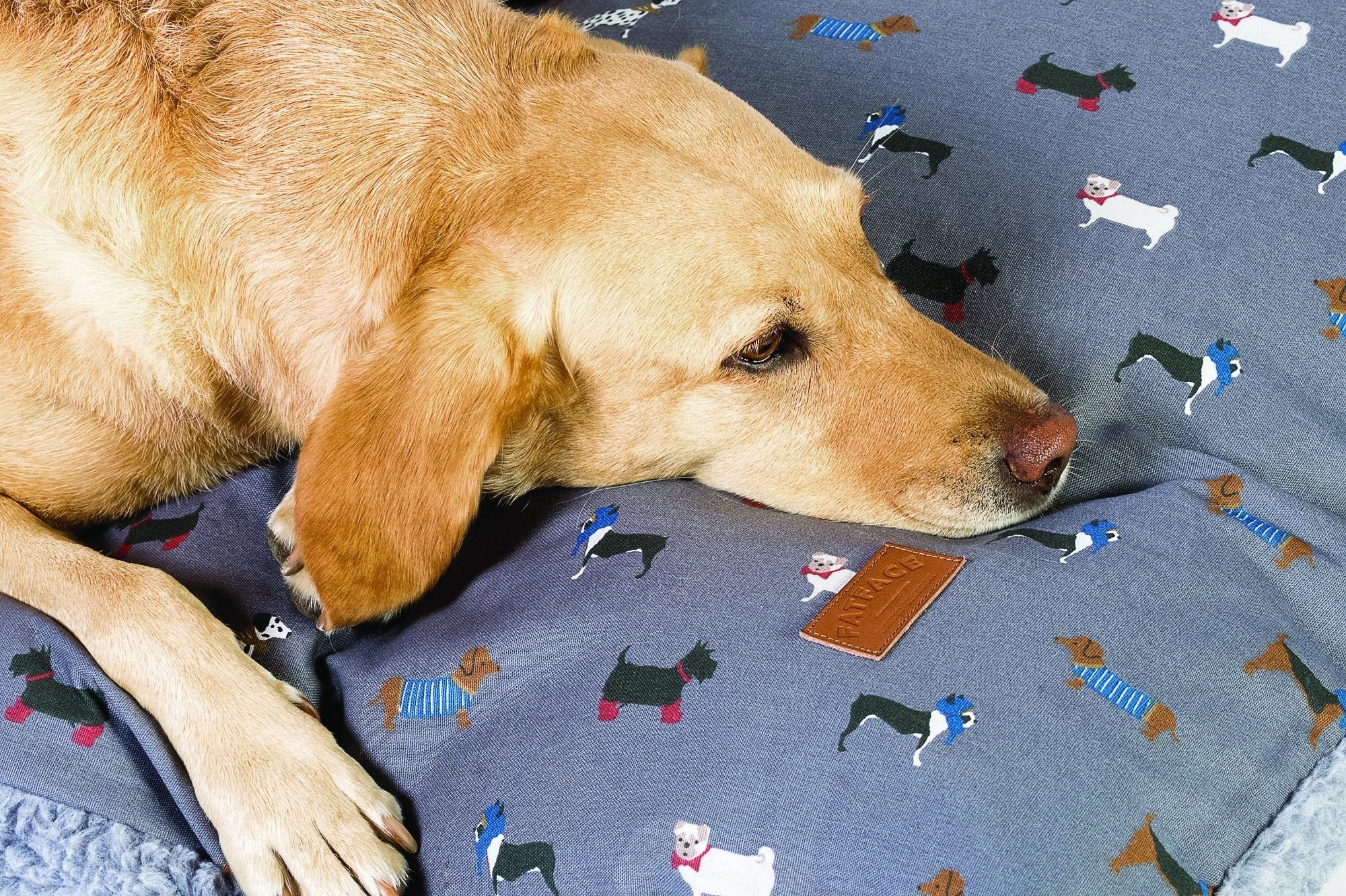 FatFace Marching Dogs Deep Duvet Dog Bed - Image 4
