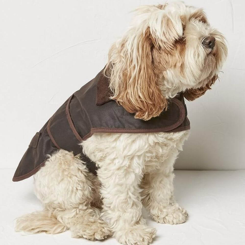 FatFace Sussex Wax Dog Coat - Image 5