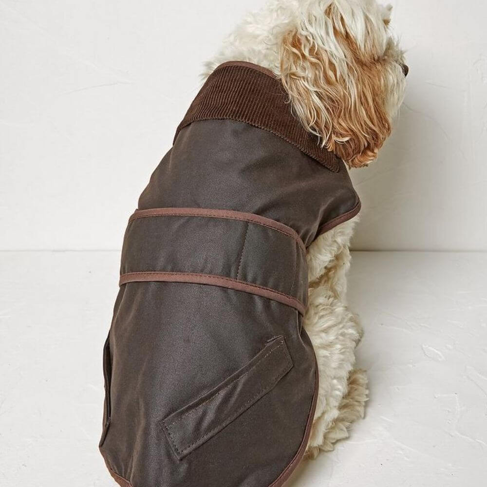 FatFace Sussex Wax Dog Coat - Image 6