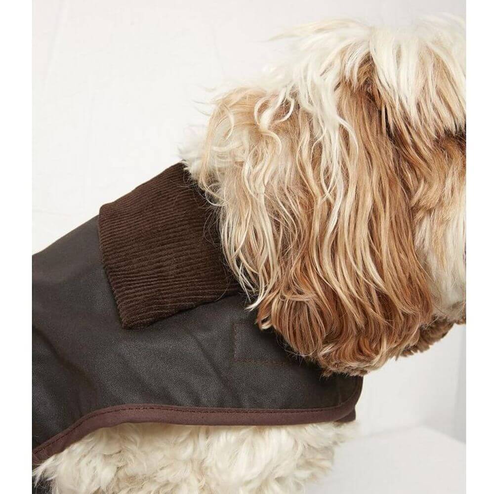 FatFace Sussex Wax Dog Coat - Image 7