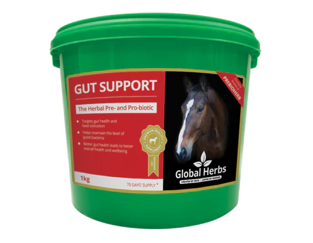 Global Herbs Gut Support 1kg - Image 2