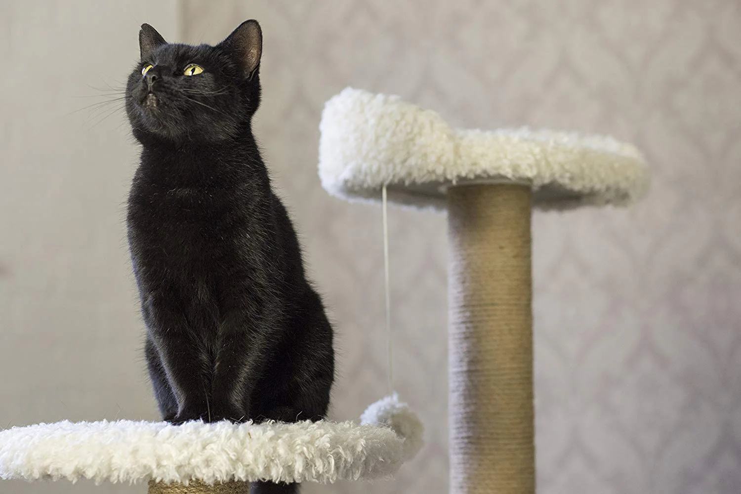 Gor Pets Easy Fix Tree Cat Scratcher - The Grand - Image 3