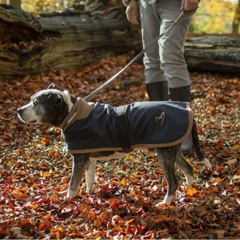 Gor Pets Edinburgh Wax Dog Coat - Image 2