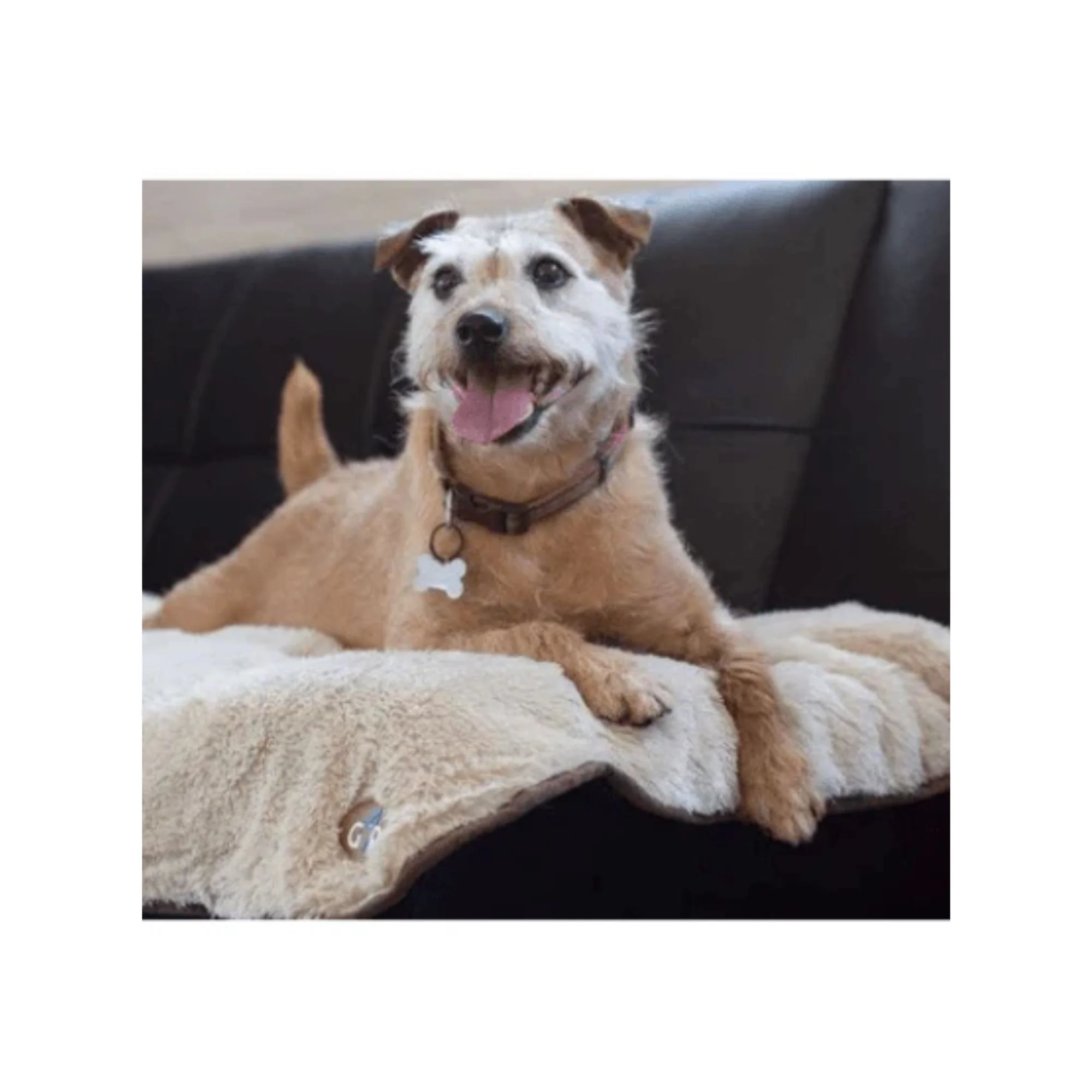 Gor Pets Nordic Double Sided Pet Blanket - Image 5
