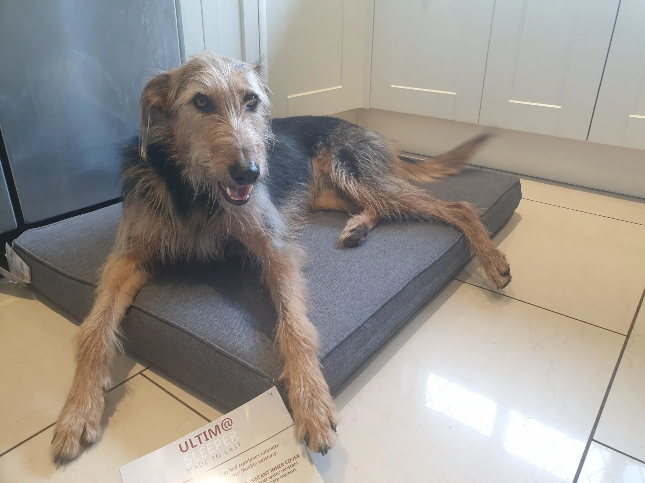 Gor Pets ULTIMA Memory Foam Sleeper Dog Bed - Image 5