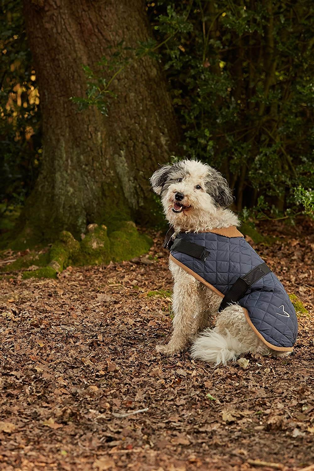 Gor Pets Worcester Quilted Dog Coat - Image 7