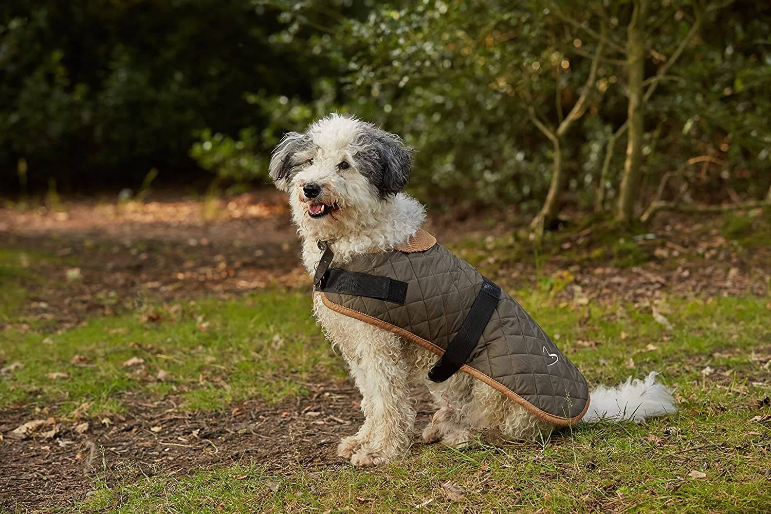 Gor Pets Worcester Quilted Dog Coat - Image 8