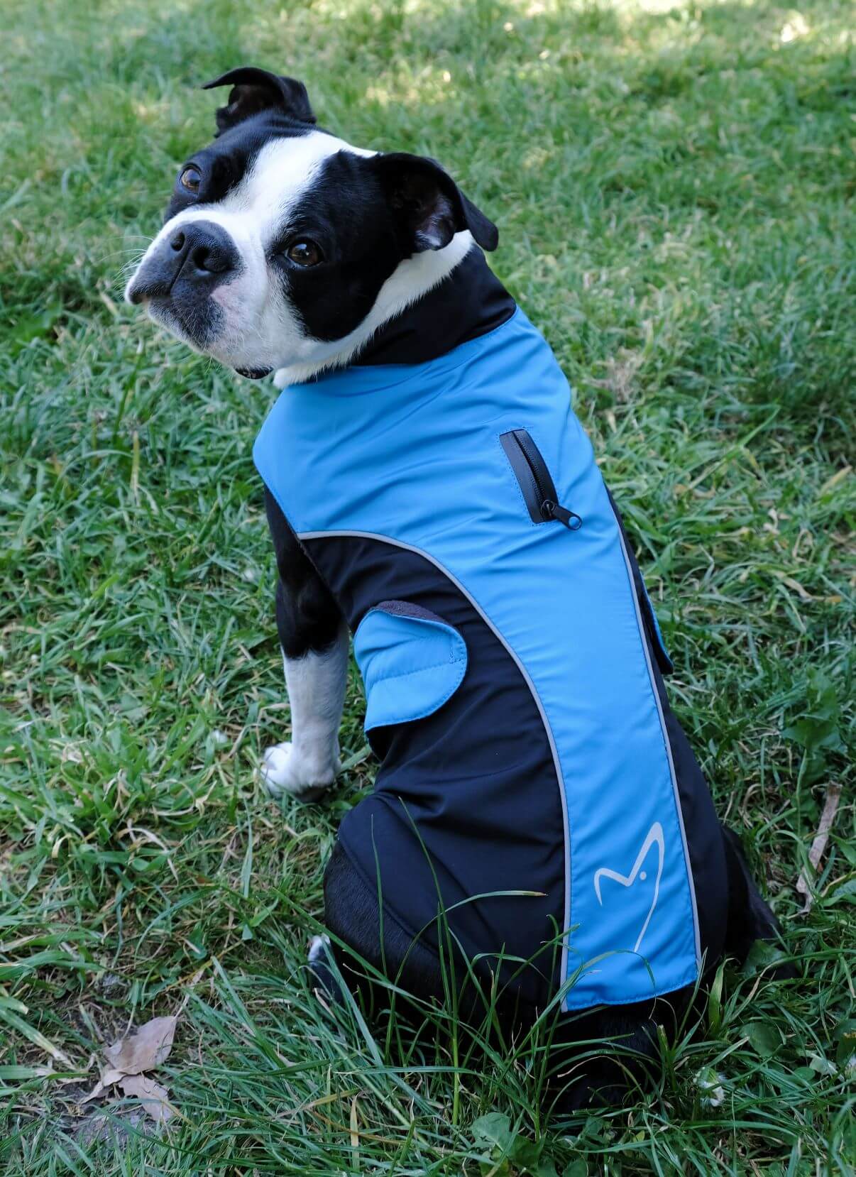 Gor Pets Wrapid Water Resistant Dog Coat - Image 4