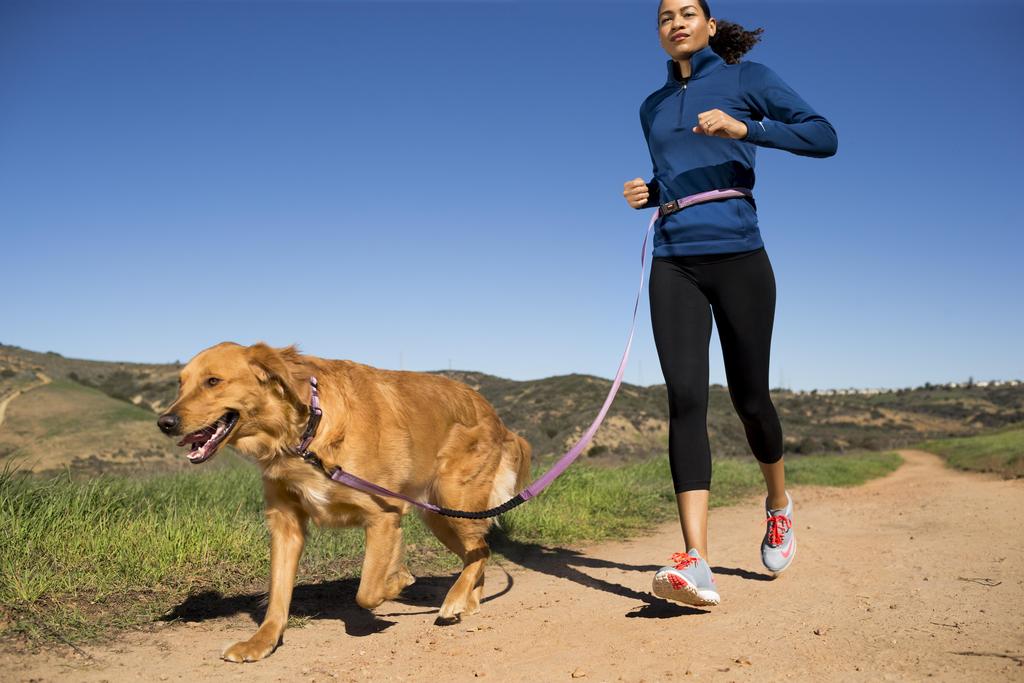 HALTI All-In-One Shock Absorption Dog Lead - Image 7