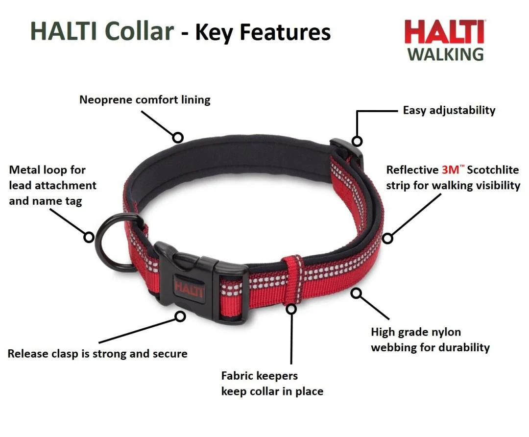HALTI Premium Reflective Dog Collar - Image 7