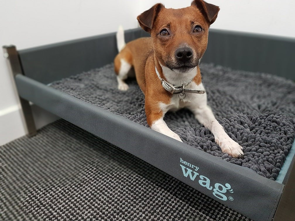 Henry Wag Microfibre Noodle Pet Mat - Image 2