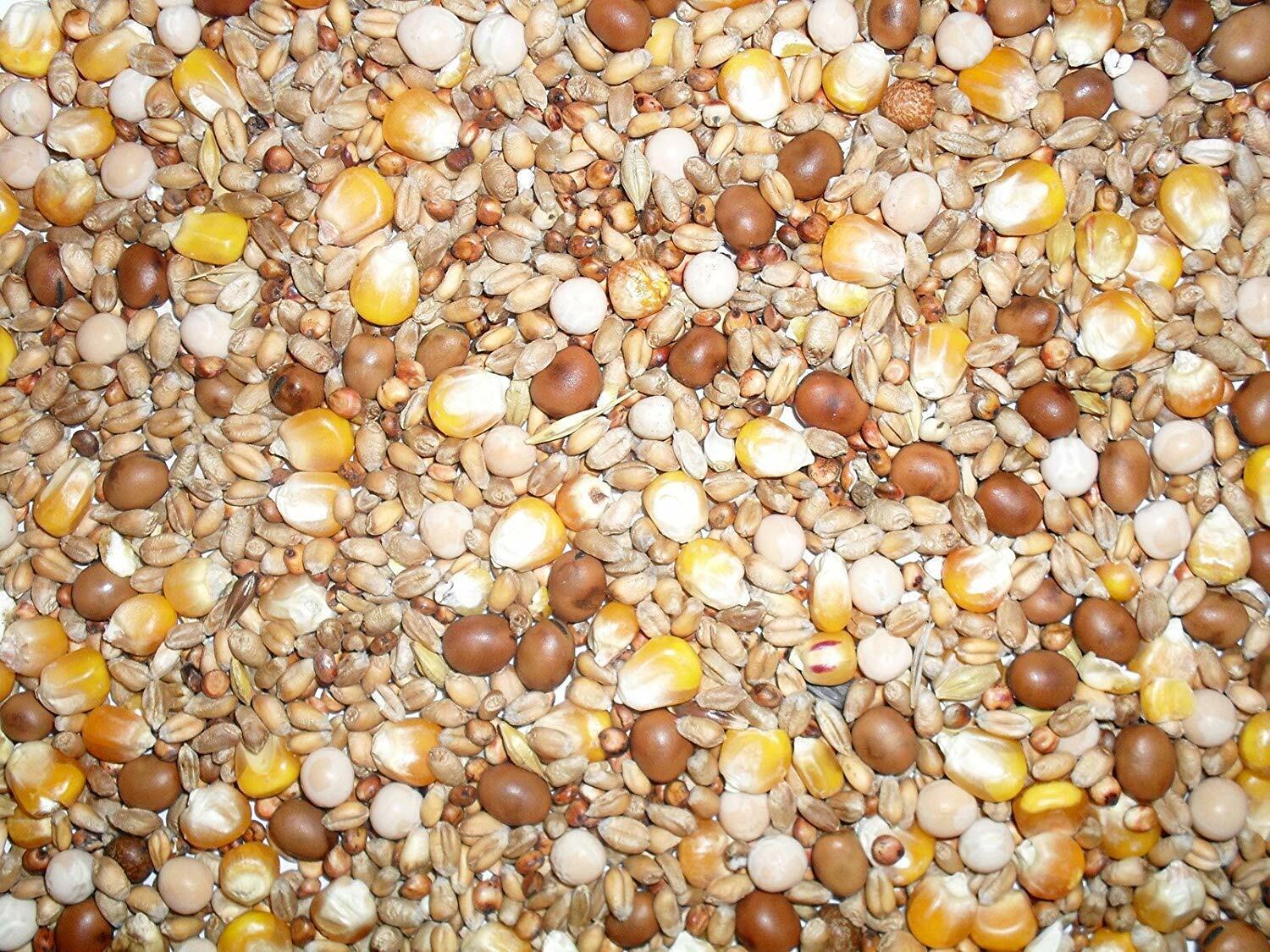 Johnston & Jeff All Rounder Pigeon Corn 20kg - Image 2