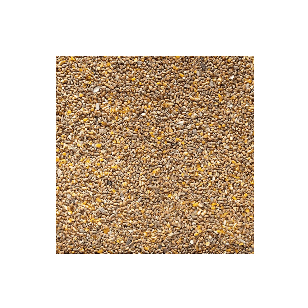 Johnston & Jeff Chicken Corn Extra with Oyster Shell Grit - Image 2