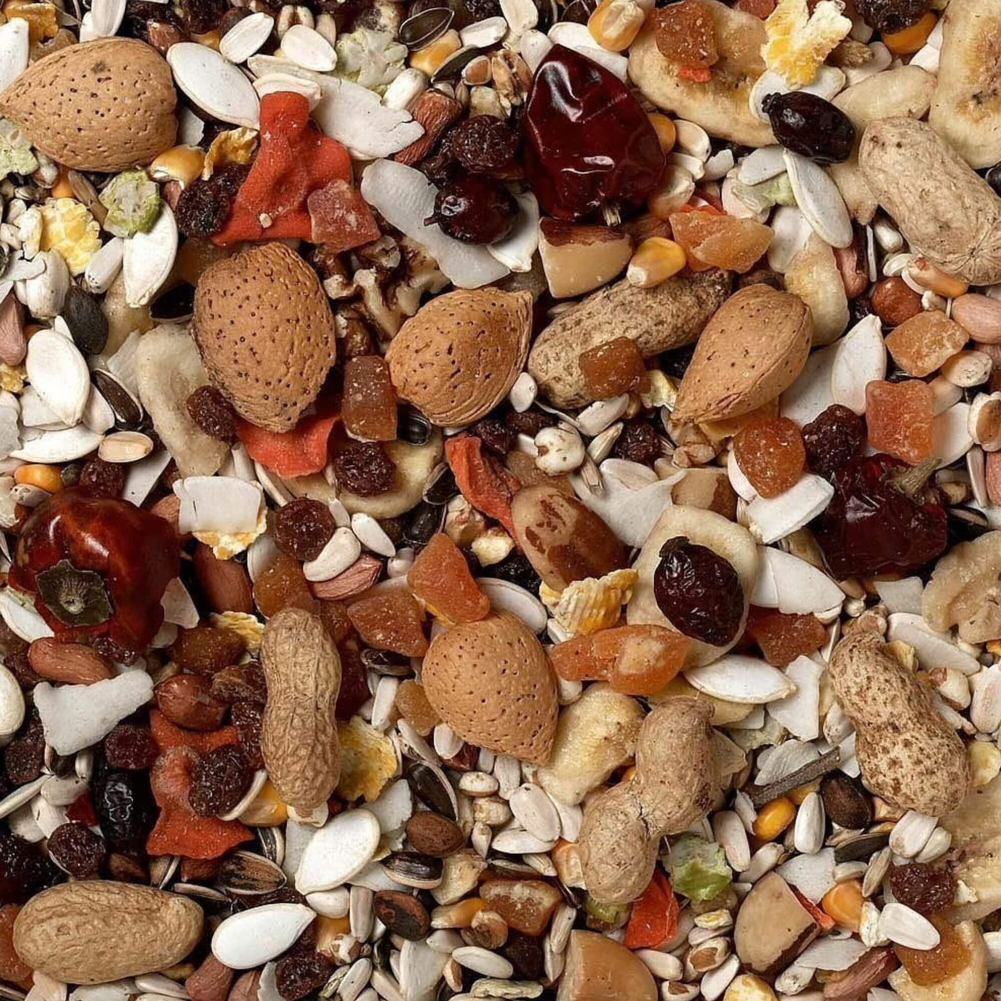 Johnston & Jeff Low Sunflower Diet for Large Parrots 6 x 2kg - Image 2