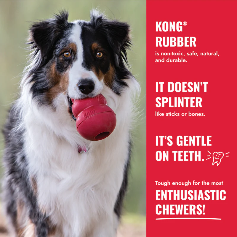 KONG Ball with Rope - Image 3