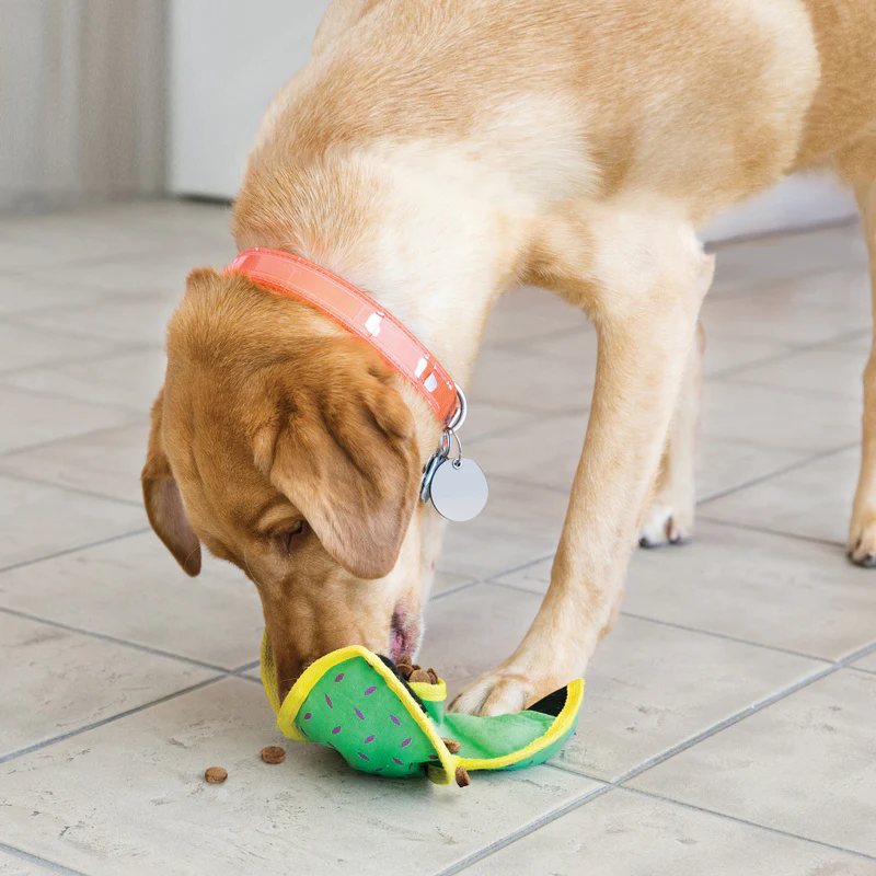 KONG Ballistic Hide ’n Treat - Image 4