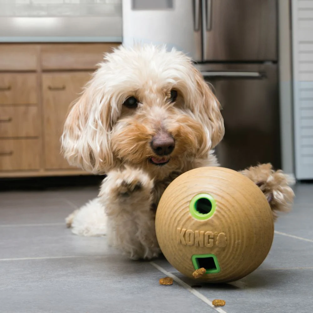 KONG Bamboo Feeder Ball - Medium - Image 3