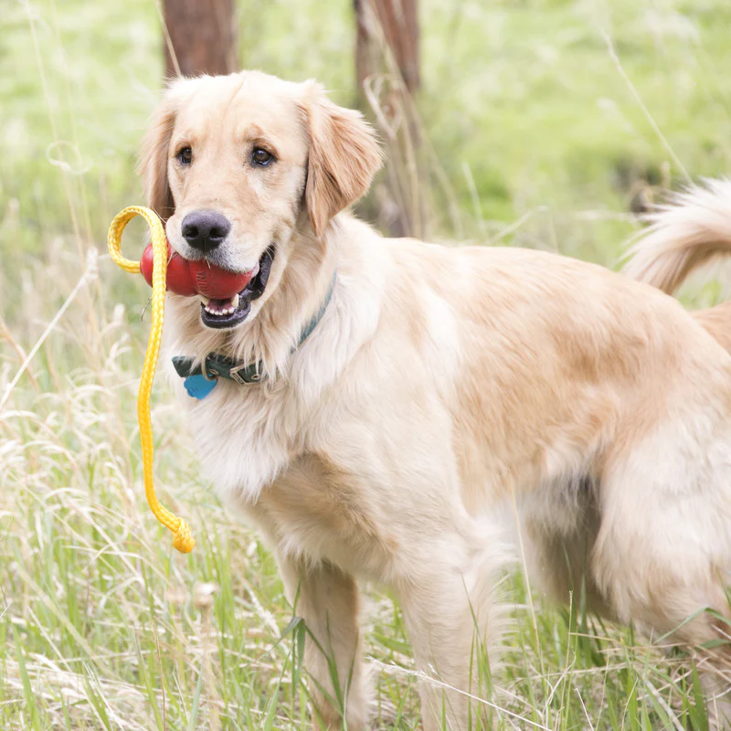 KONG Classic with Rope - Image 5