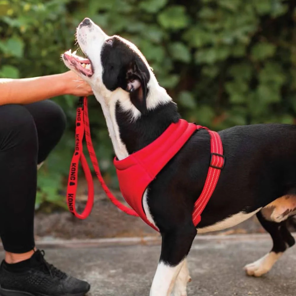 KONG Comfort Harness - Image 6