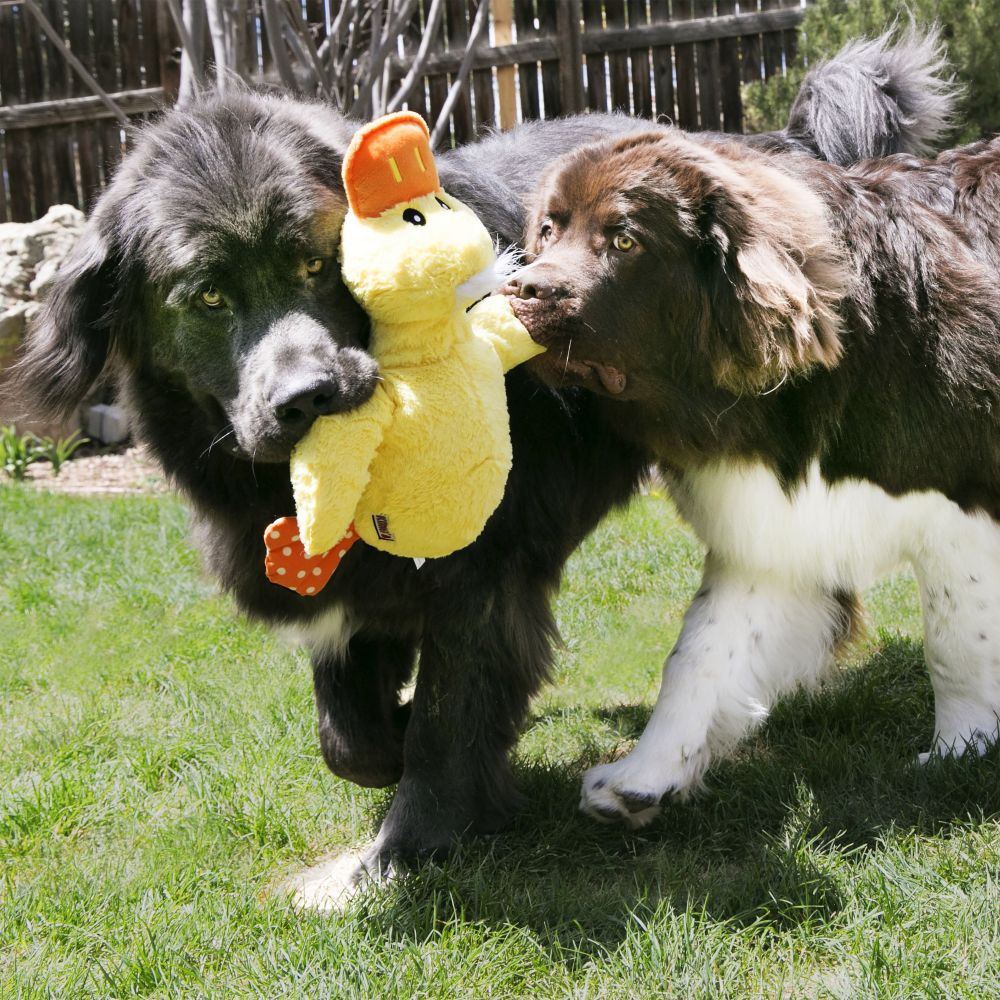 KONG Comfort Jumbo Duck - Image 2