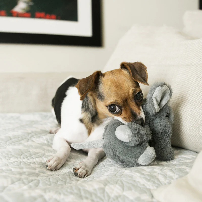 KONG Comfort Kiddos - Image 6