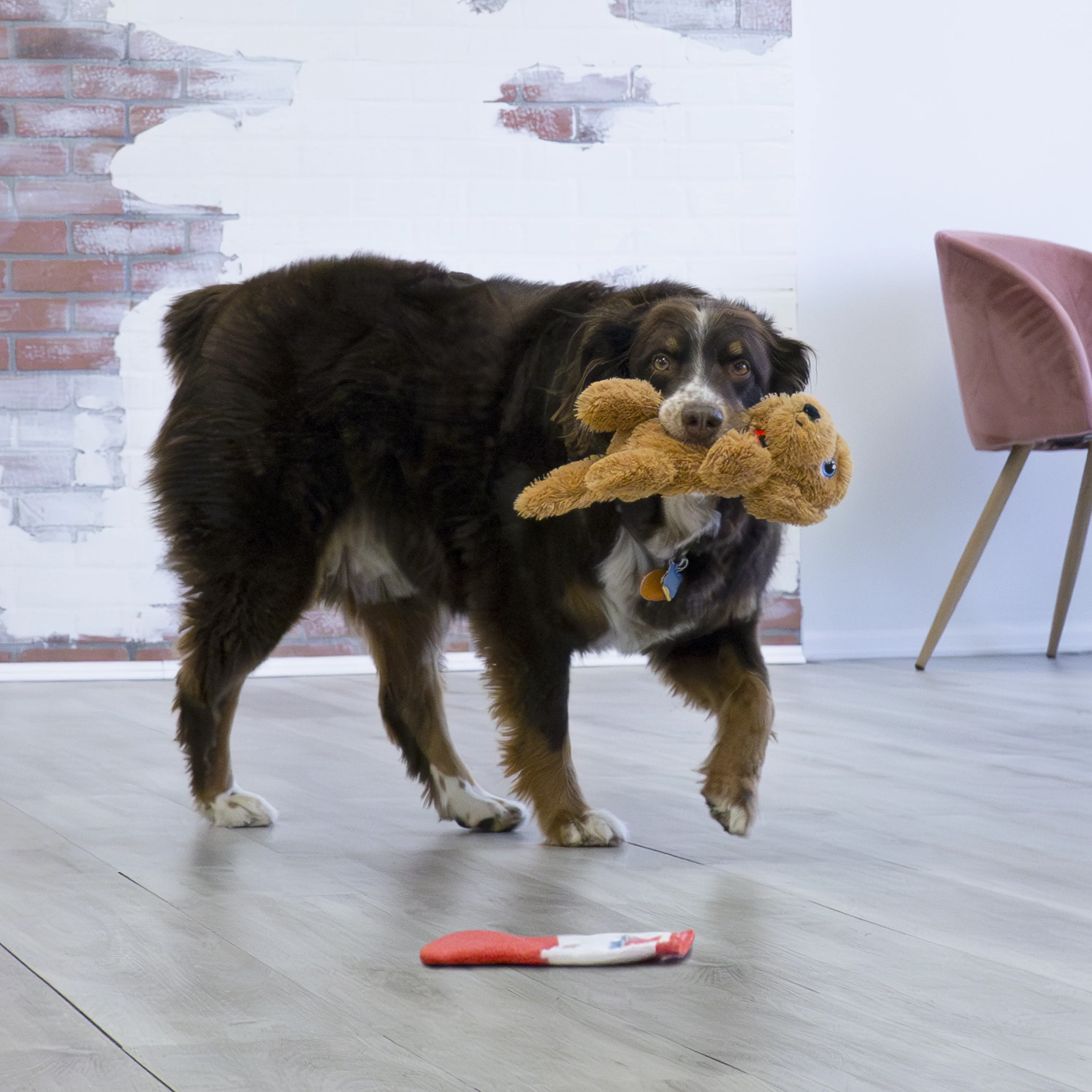 KONG Comfort Pups Goldie - Image 3