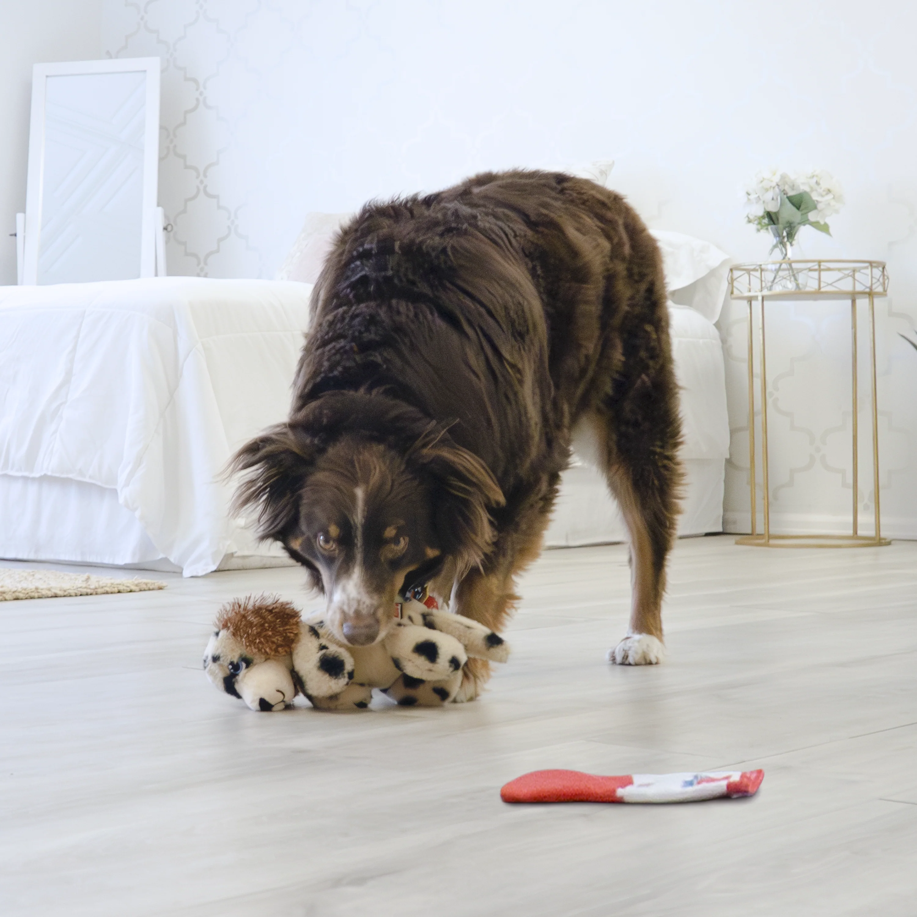 KONG Comfort Pups Spot - Image 3