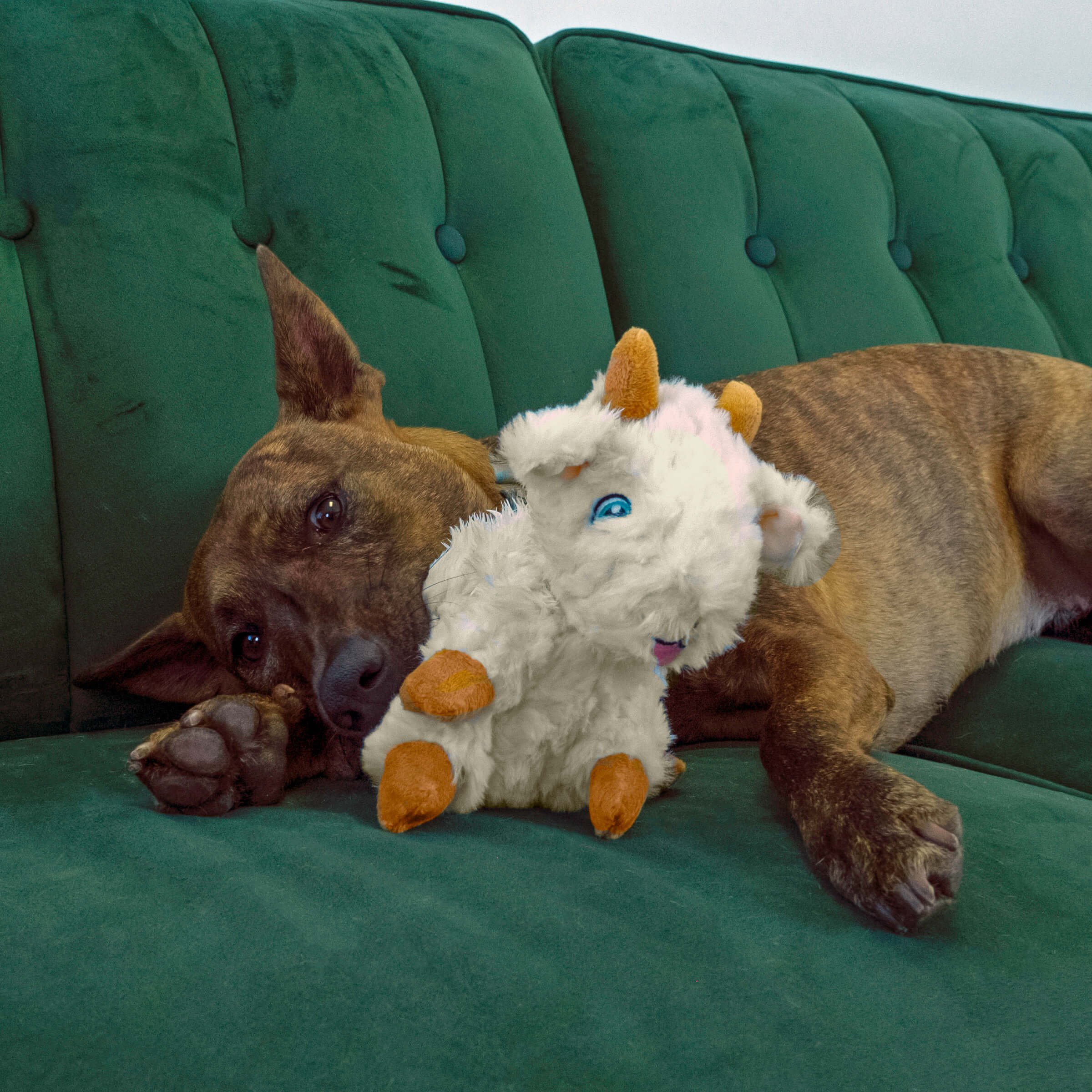 KONG Comfort Tykes Gosling - Image 4