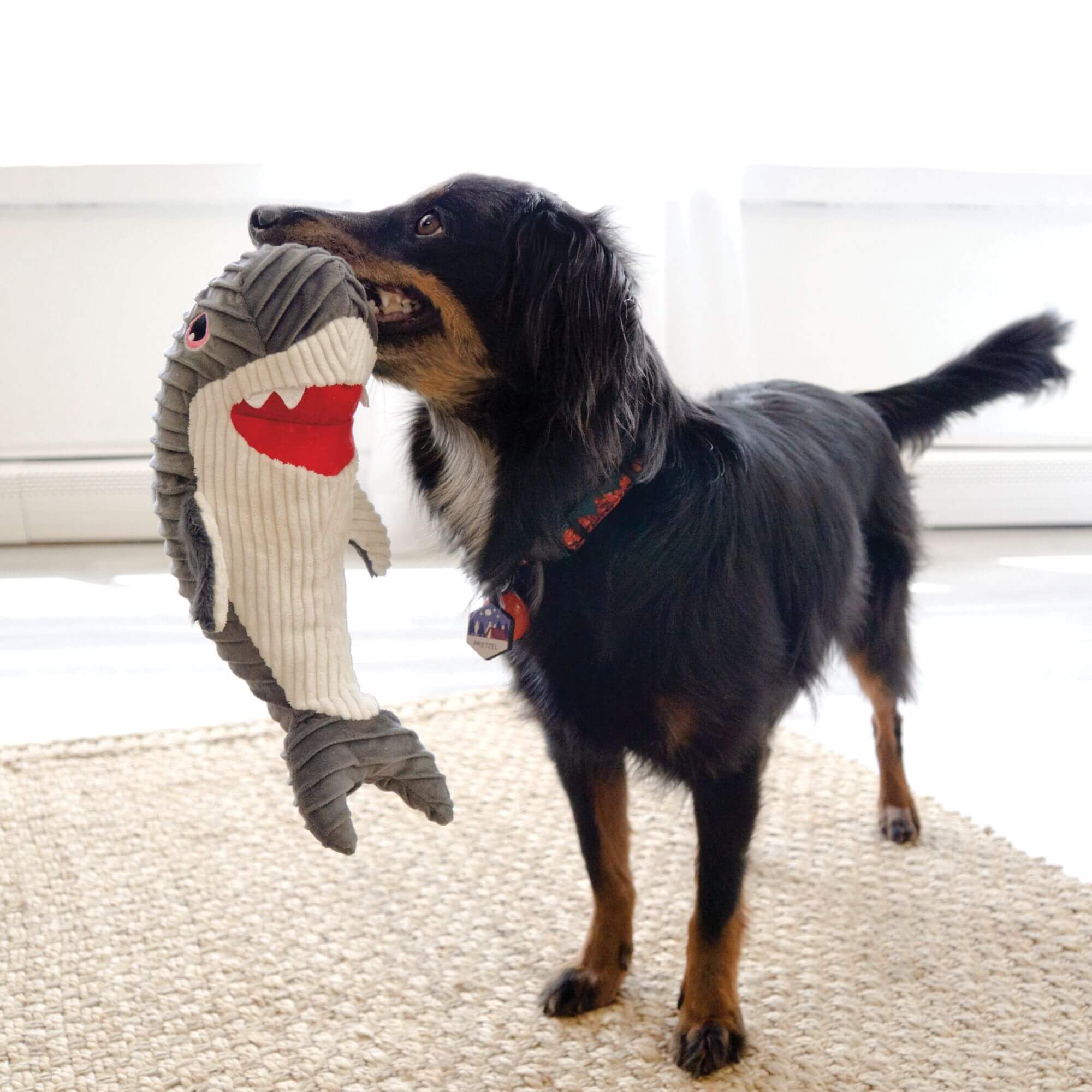 KONG Cuteseas Rufflez Shark - Image 2