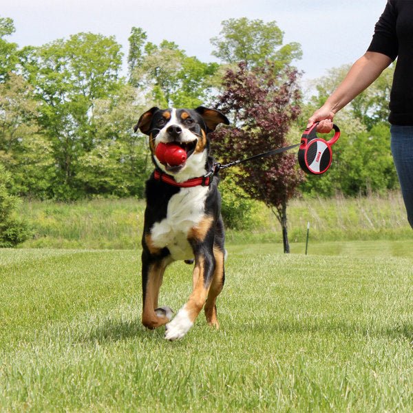 KONG Retractable Leash Explore Large - Image 4