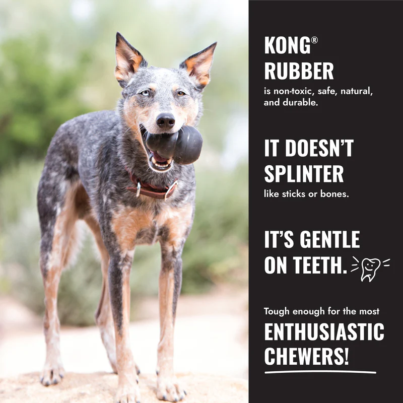 KONG Extreme Goodie Bone - Image 2