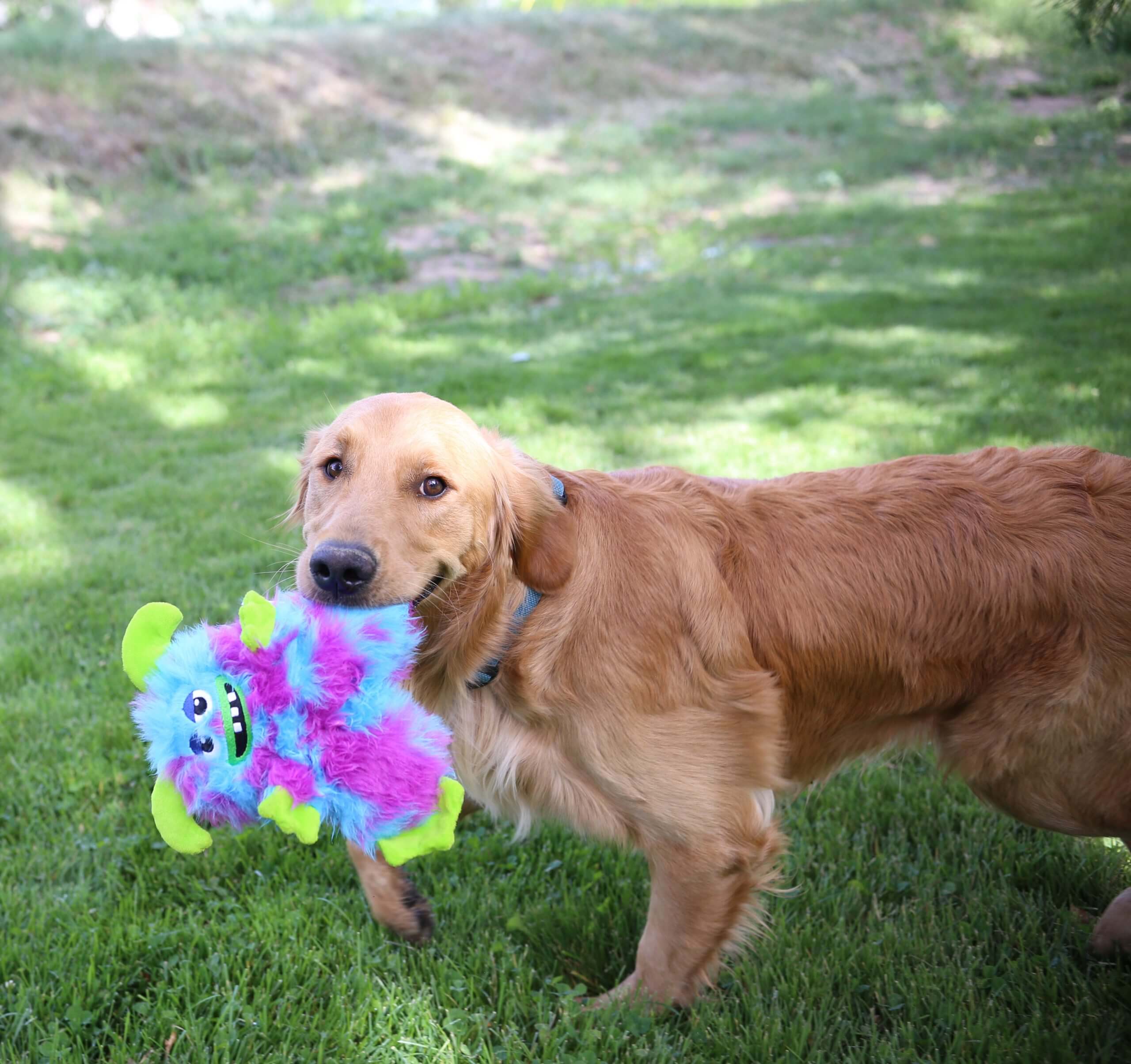 KONG Frizzles Razzle - Image 2