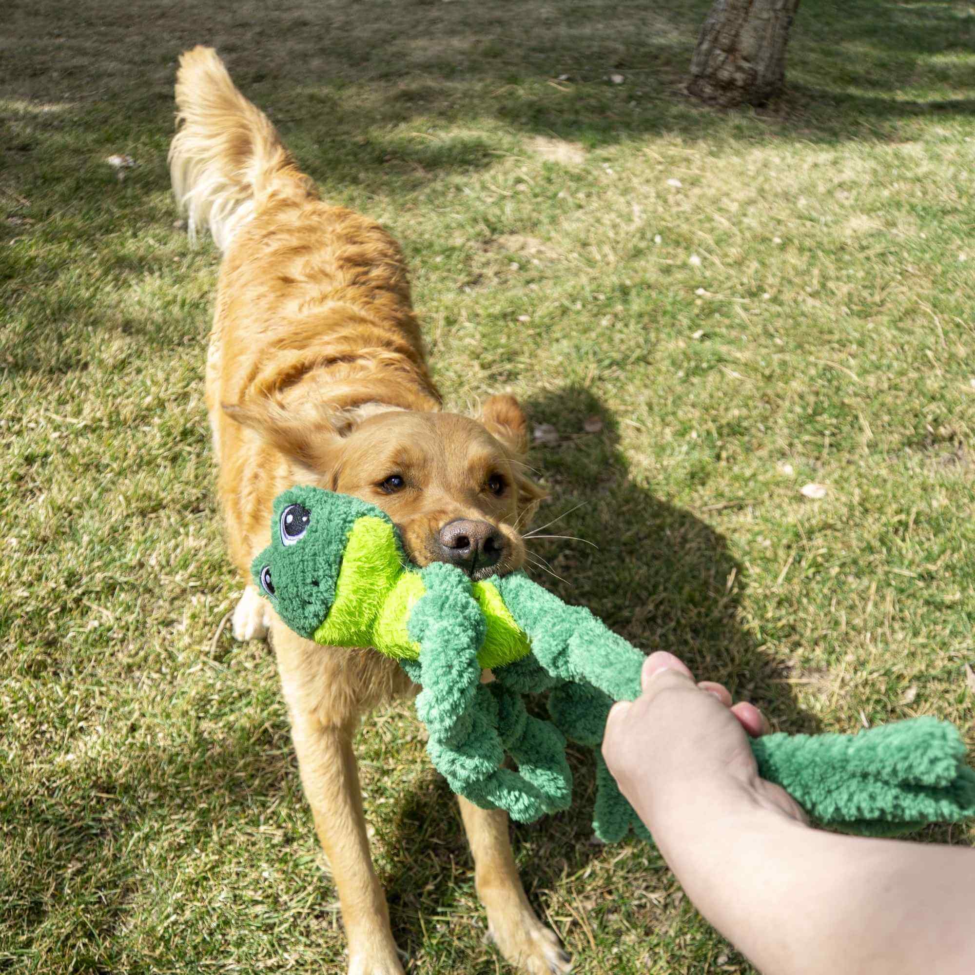 KONG Knots Frog - Image 3