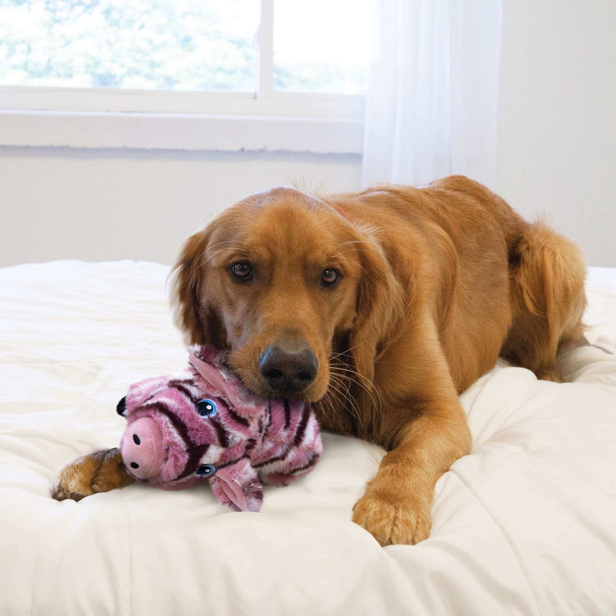 KONG Low Stuff Stripes Pig - Image 3