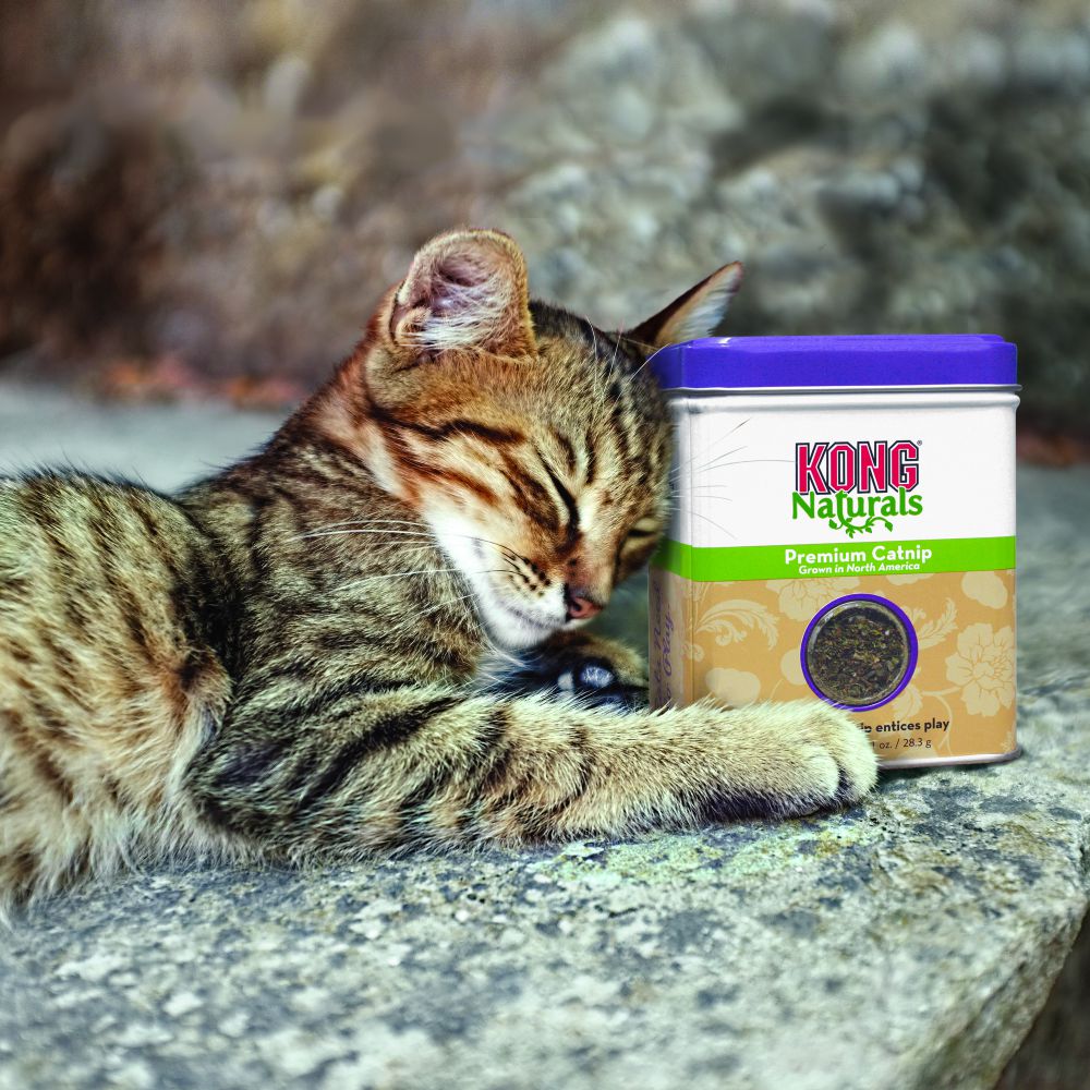 KONG Naturals Catnip - Image 3