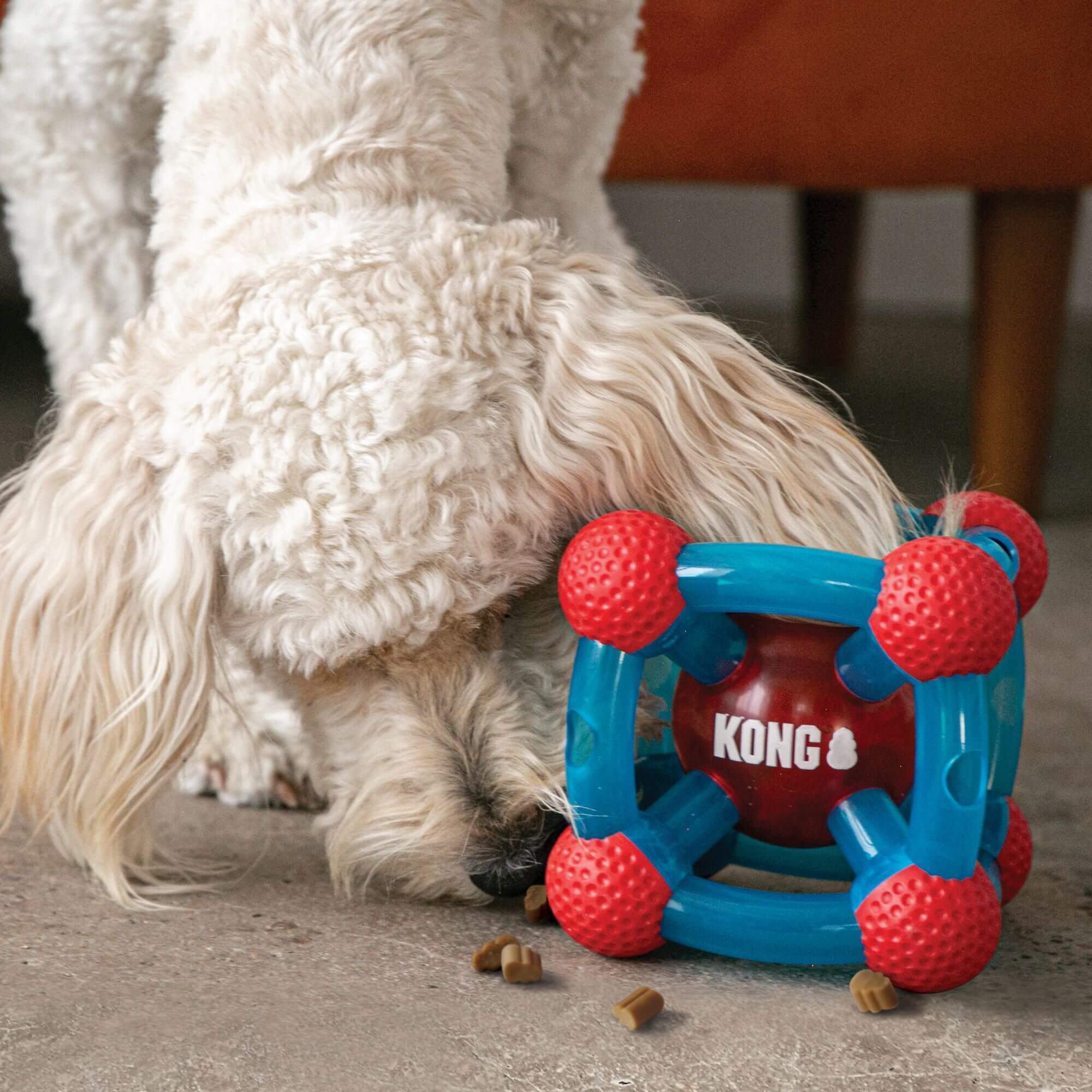 KONG Rewards Tinker - Image 4