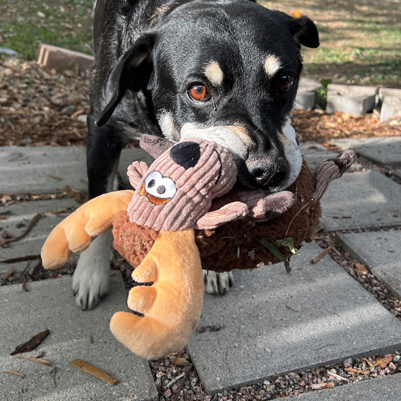 KONG Sherps Floofs Moose - Image 3