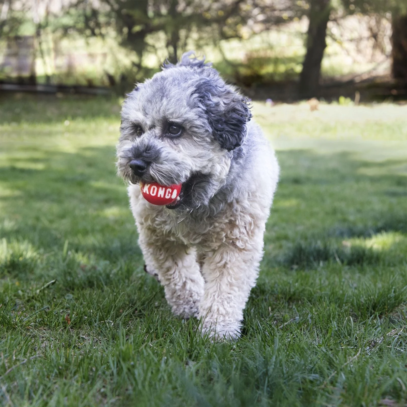 KONG Signature Balls - Image 3