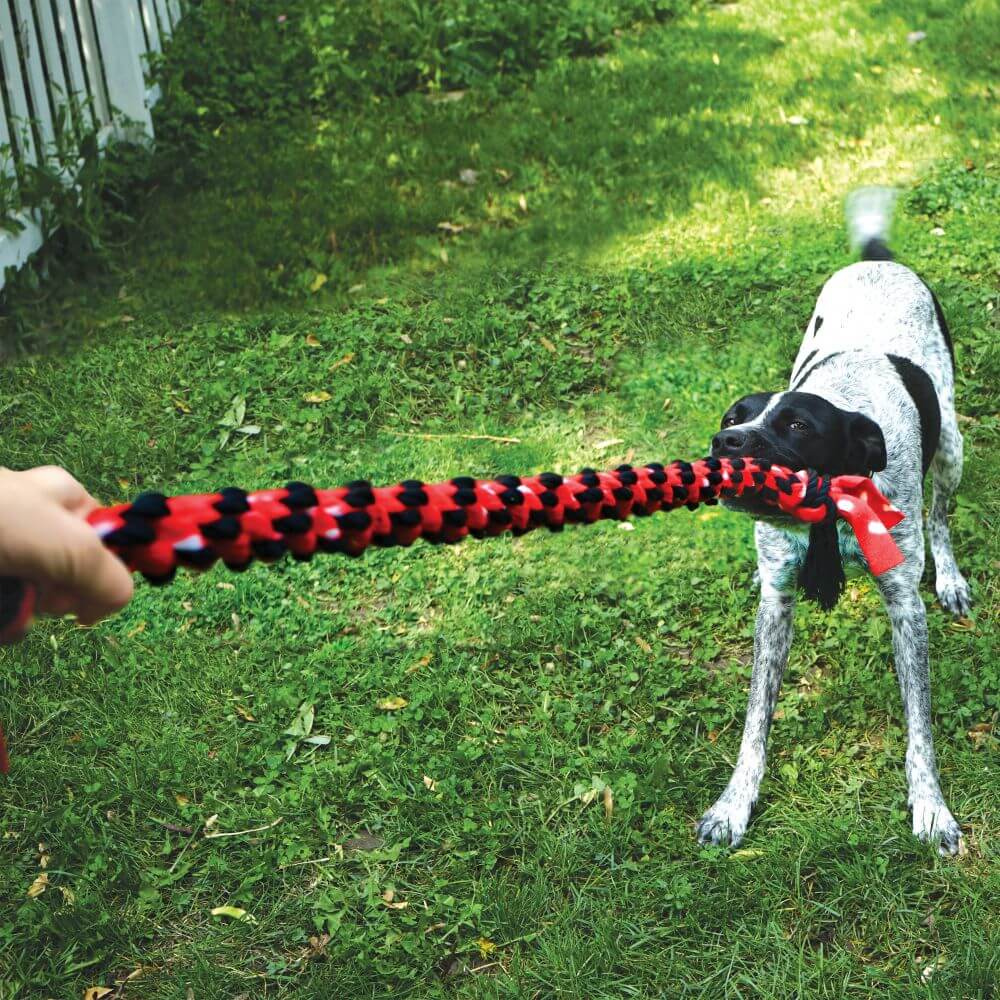 KONG Signature Rope Double Tug - Image 2