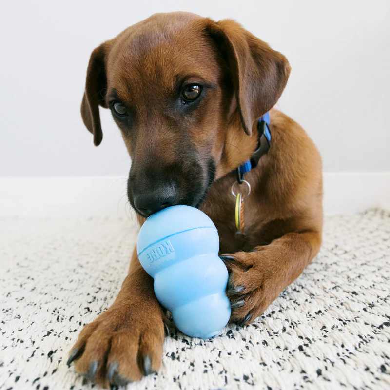 KONG Snacks Puppy - Image 3