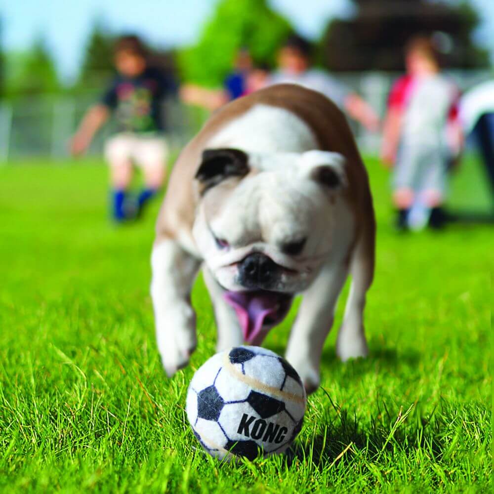 KONG Sport Balls - Image 2