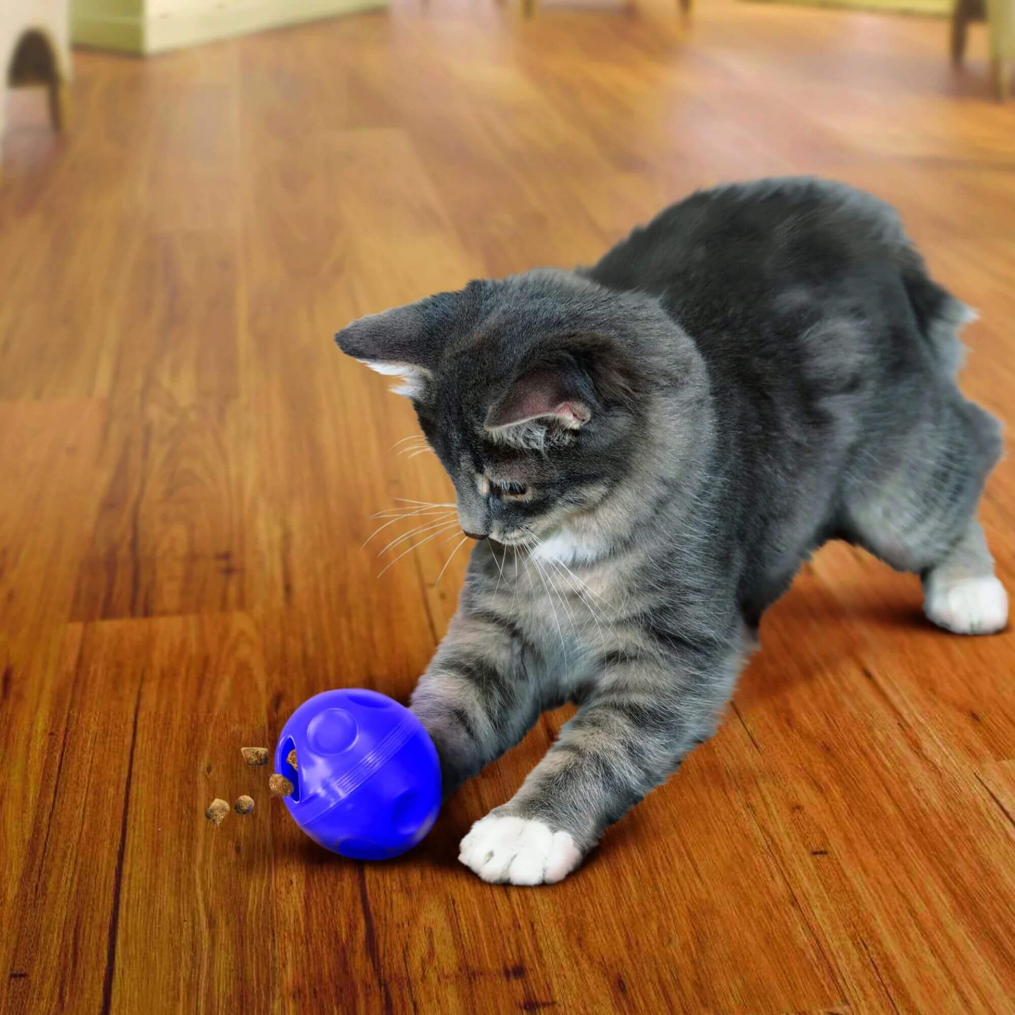 KONG Cat Treat Dispensing Ball - Image 3