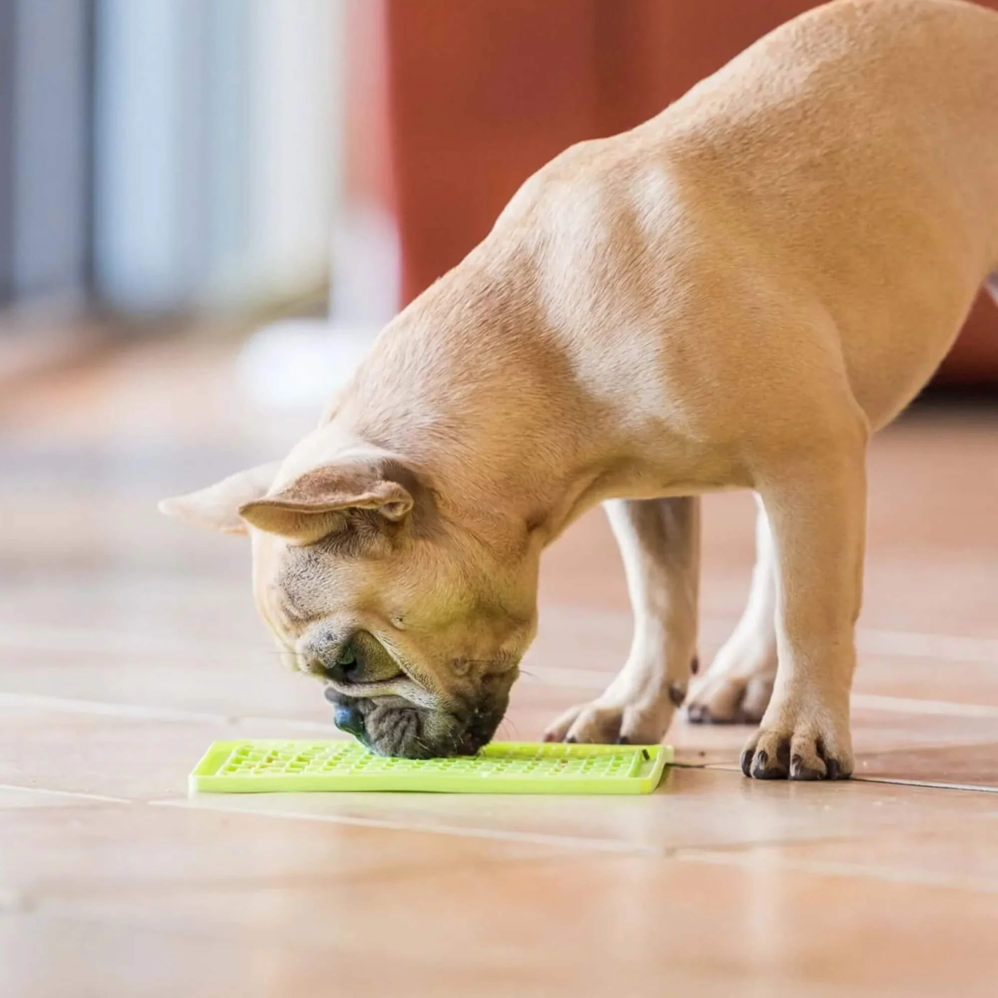 LickiMat Classic Soother Slow Feeder Mat for Dogs - Image 4