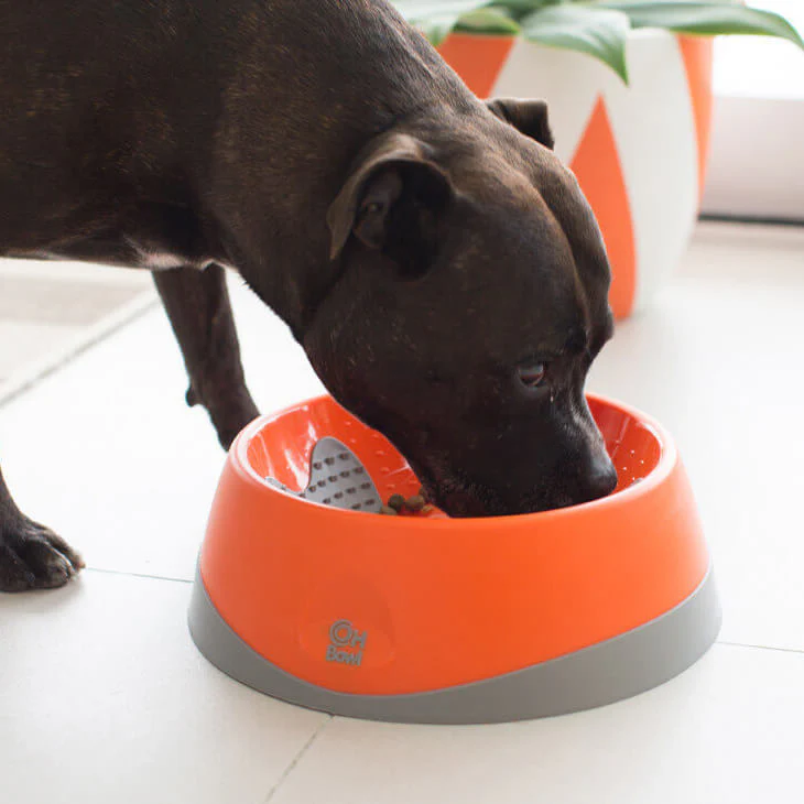 Lickimat OH Dog Bowl for Dogs - Image 4