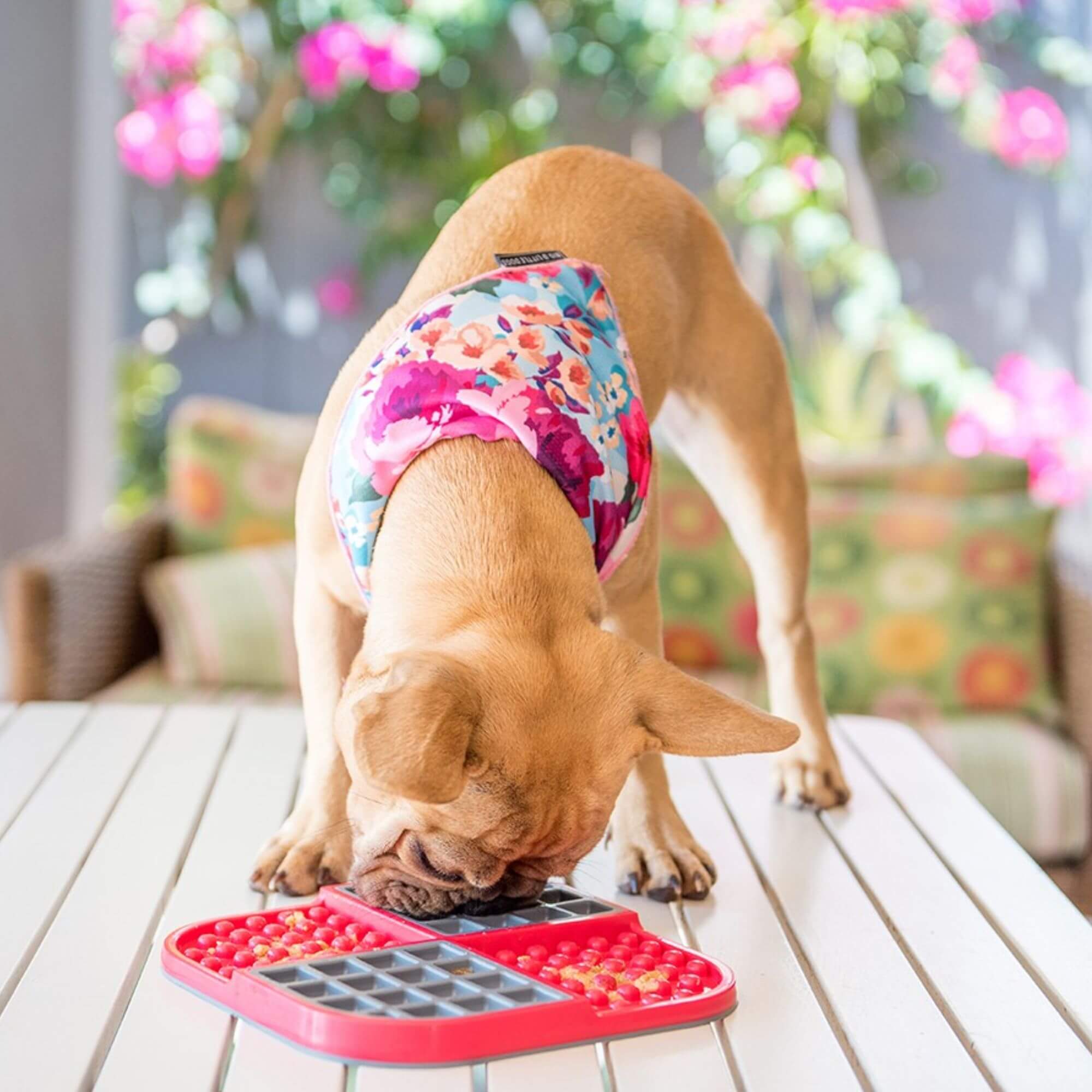 LickiMat Slomo Combo Slow Feeder for Dogs - Image 5