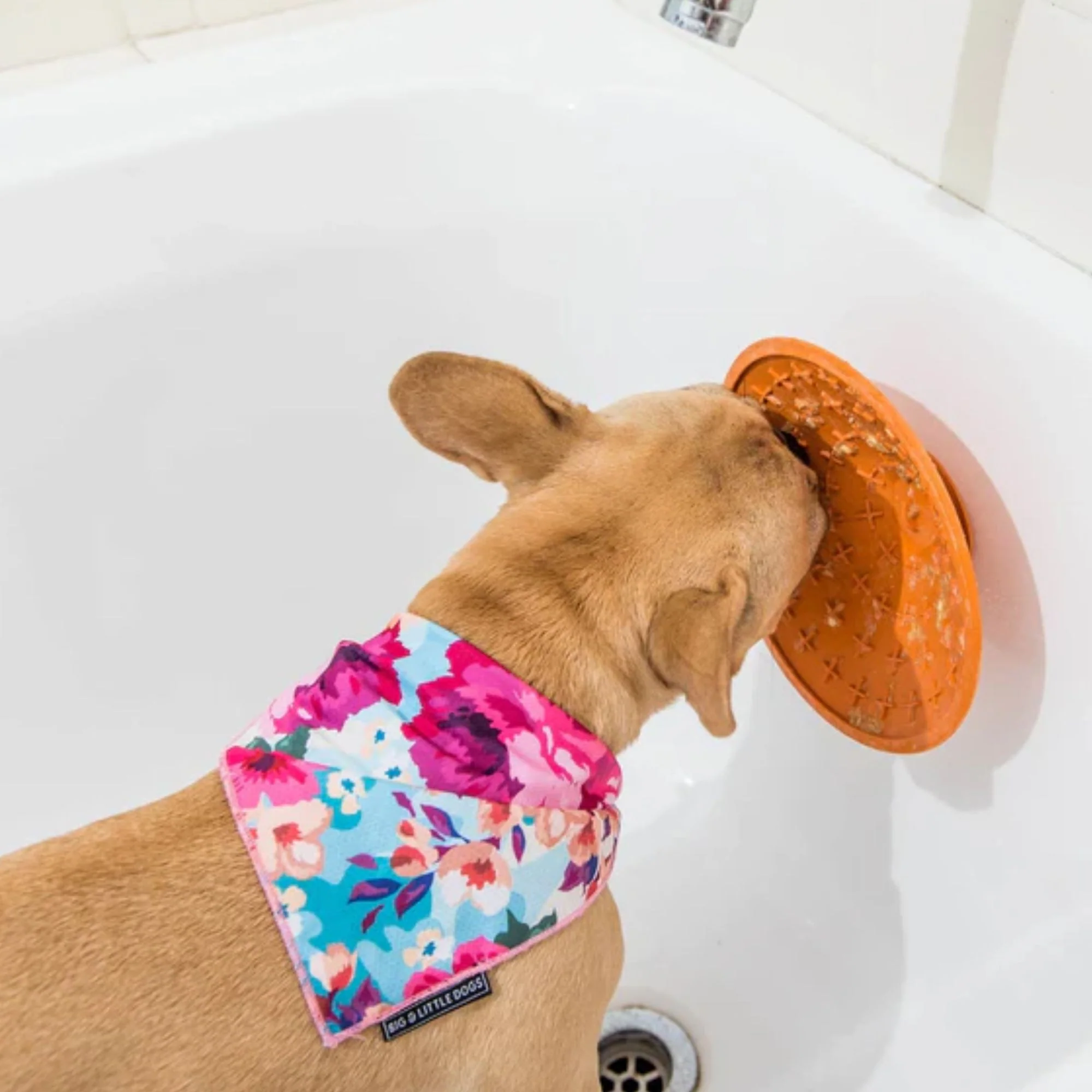 LickiMat Splash Bathtime & Groom Feeder for Dogs - Image 4