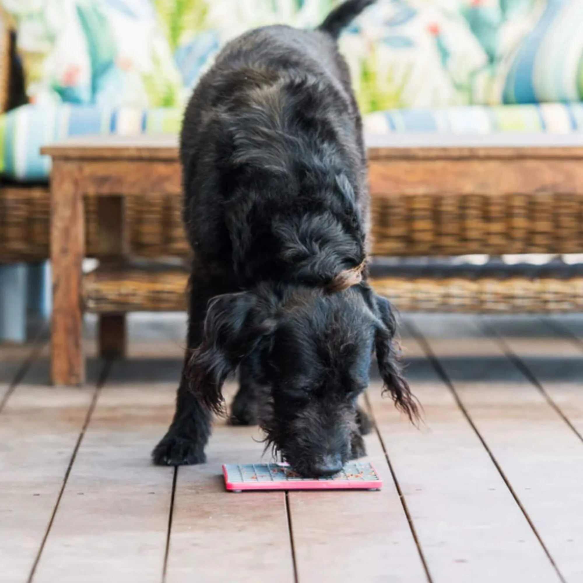 LickiMat Tuff Buddy Slow Feeder Mat for Dogs - Image 5