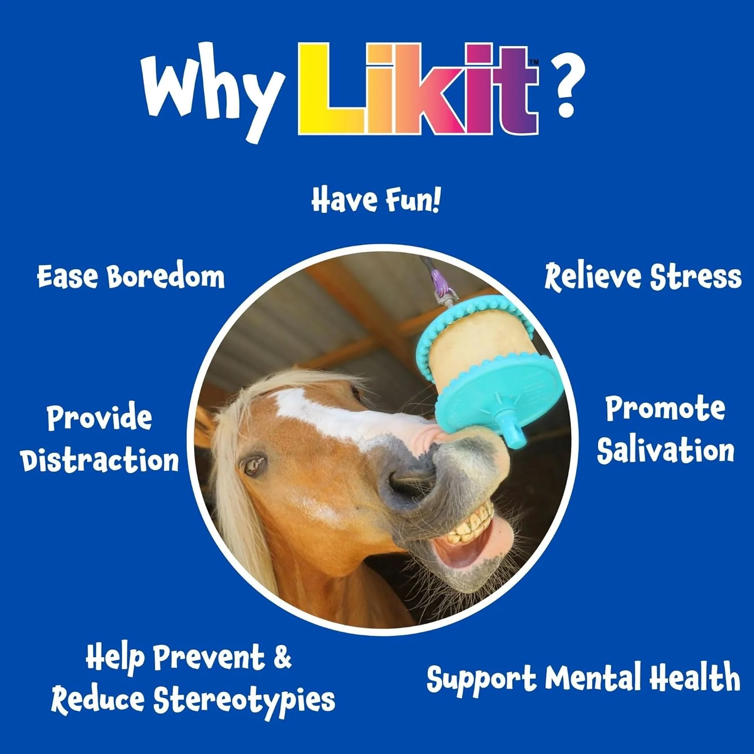 Likit Refill Assorted Flavours Horse & Pony Lick 12 x 650g - Image 3
