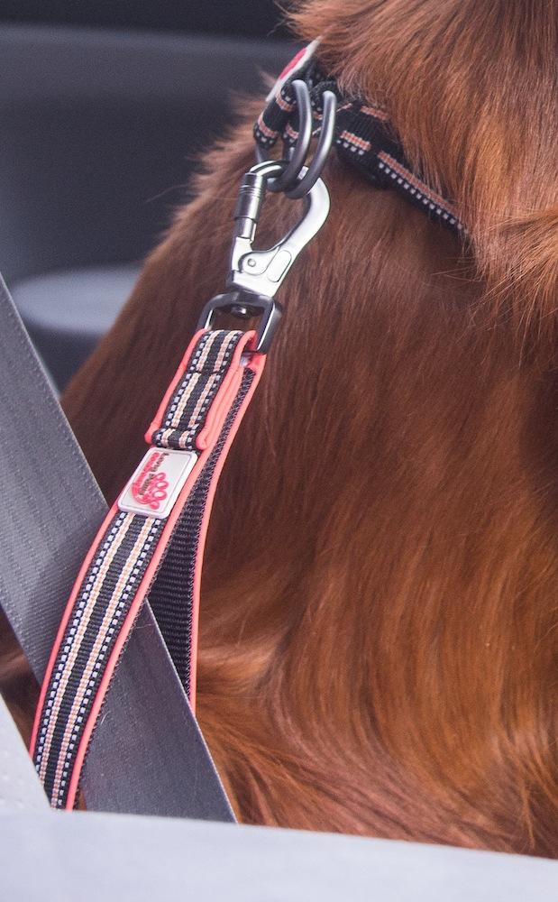 Long Paws Comfort Short Safety Belt / Close Control Lead - Image 3