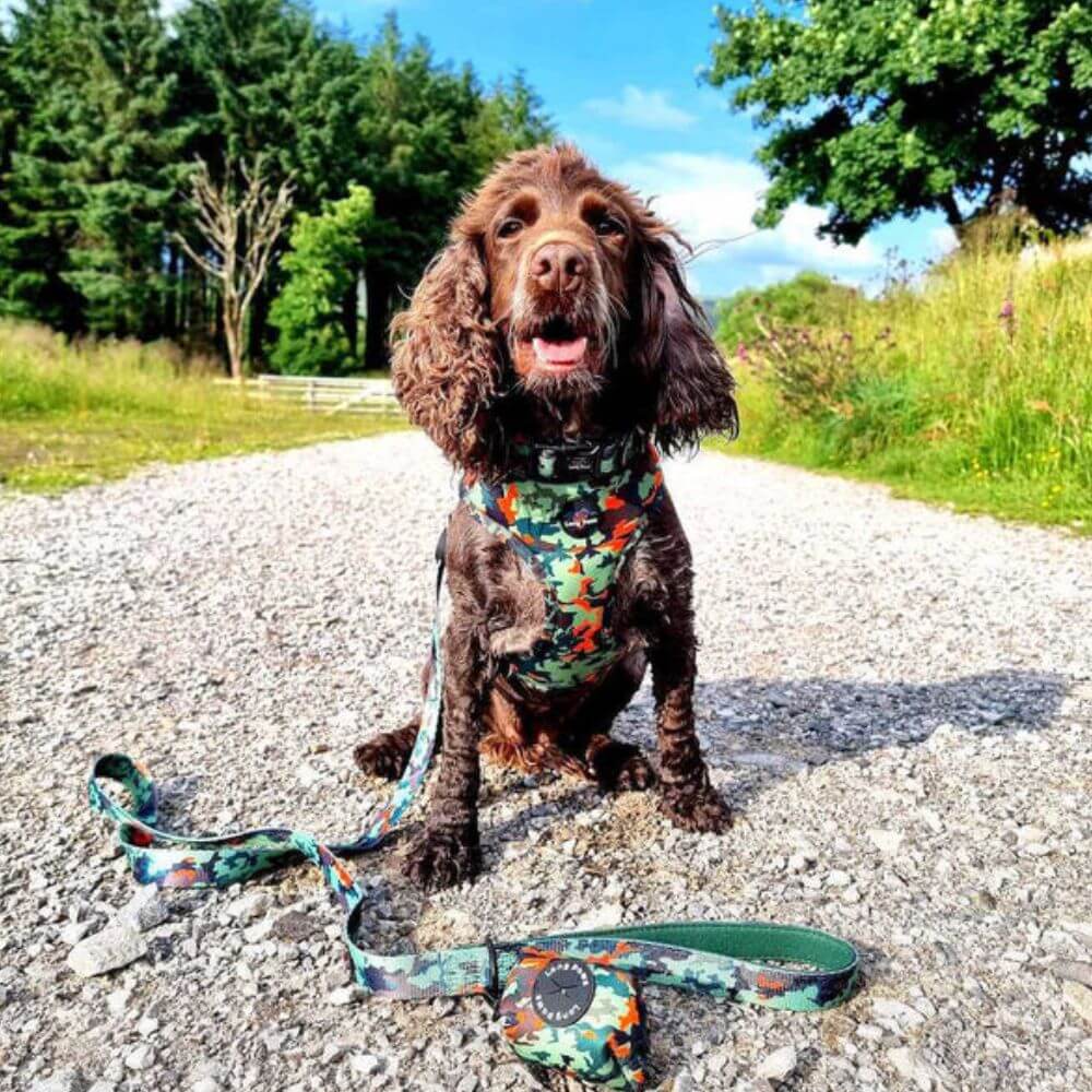 Long Paws Earth Friendly Trig Point Dog Lead - Image 3